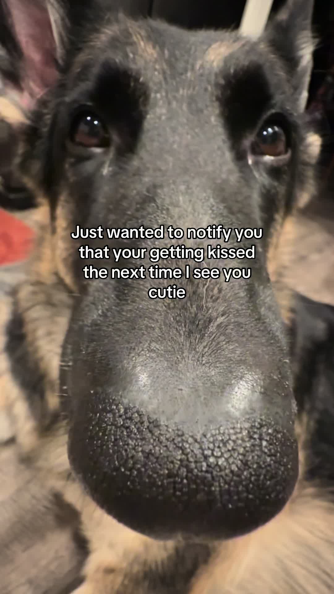 @Bhris