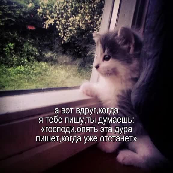 @jenik_🎧