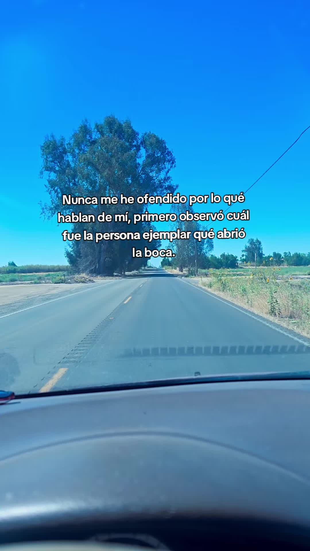 @🖤🦋FER_BRIZZO LA LOBA 🐺☀︎︎☽︎