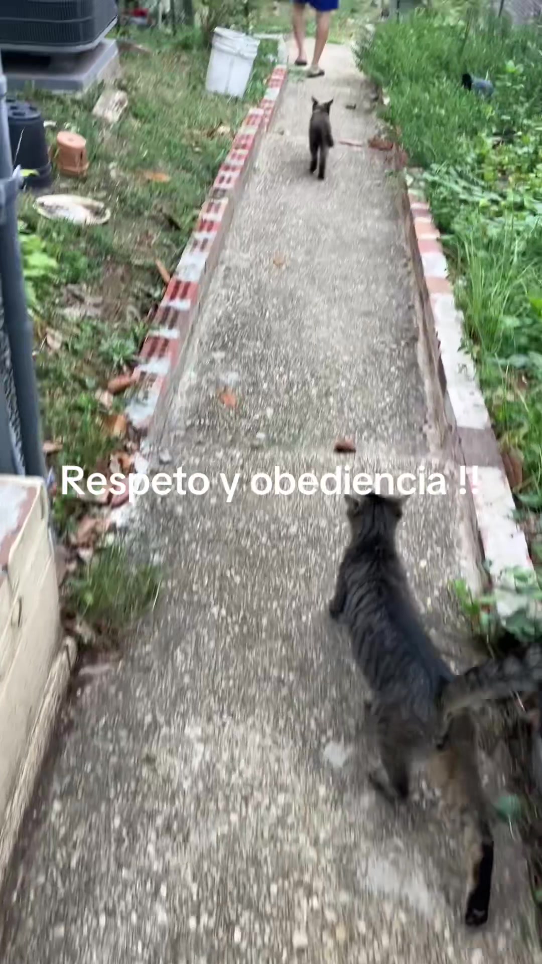 @wazalva