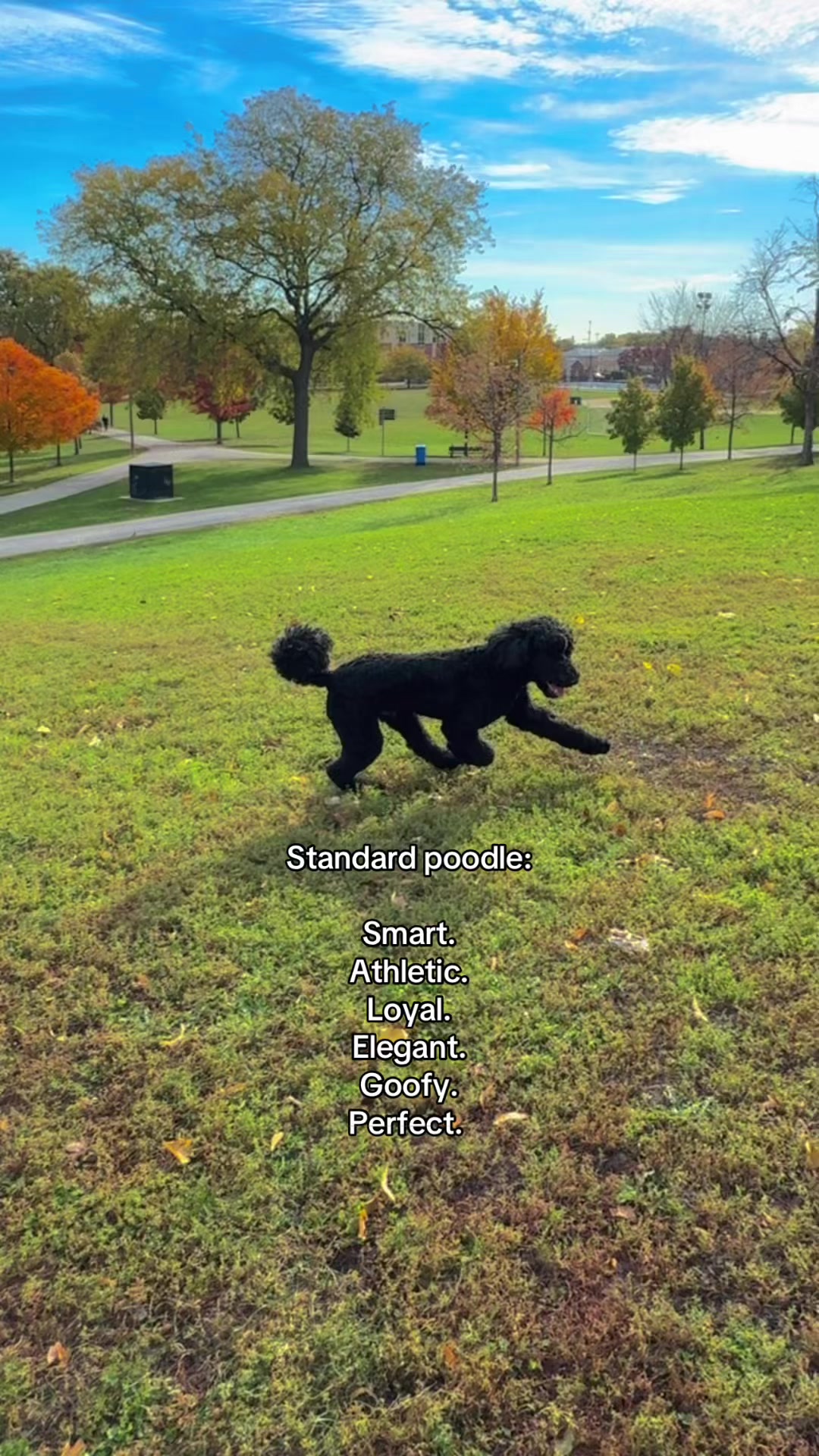 @packwalkdiaries