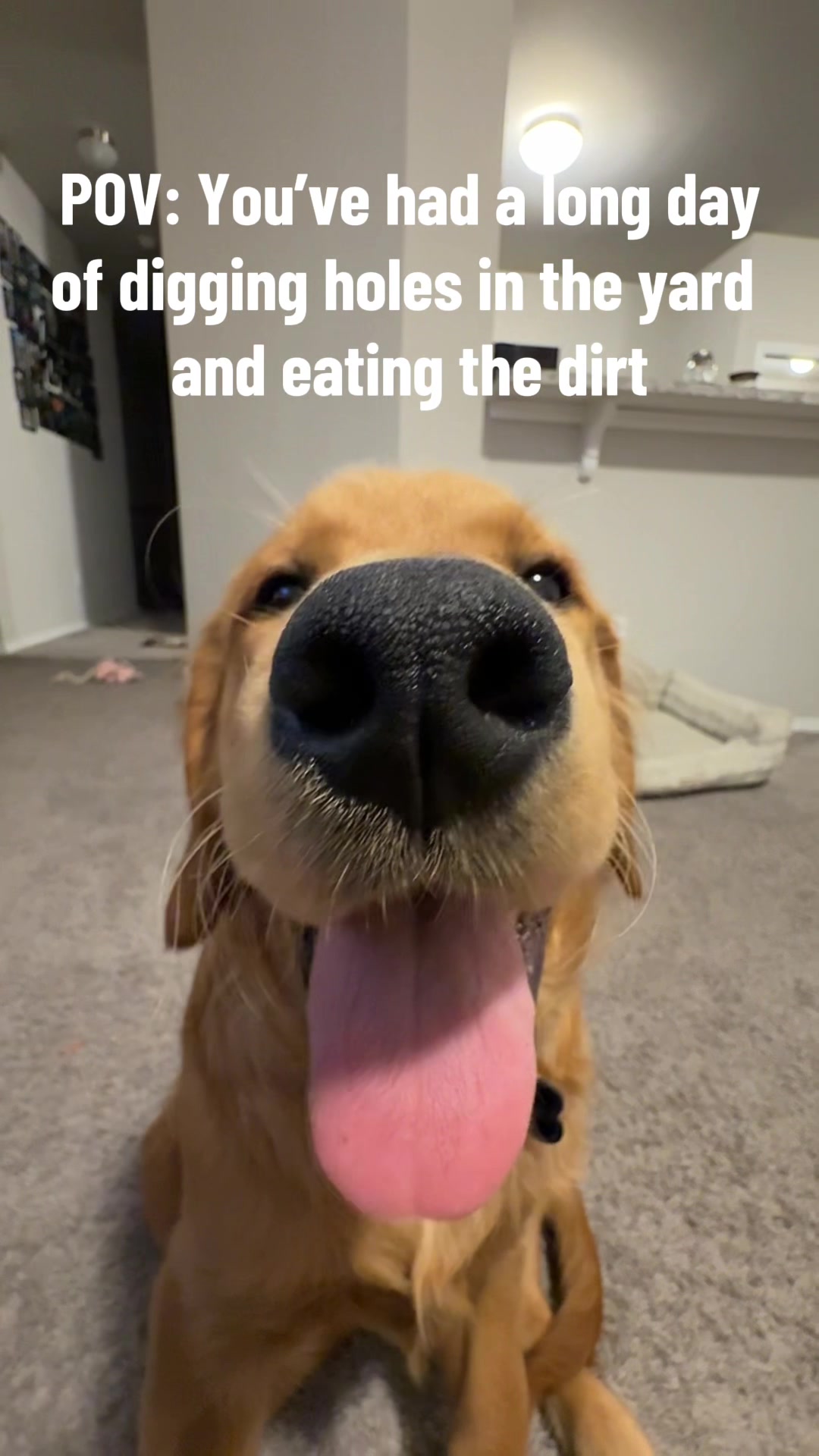 @asher_shai