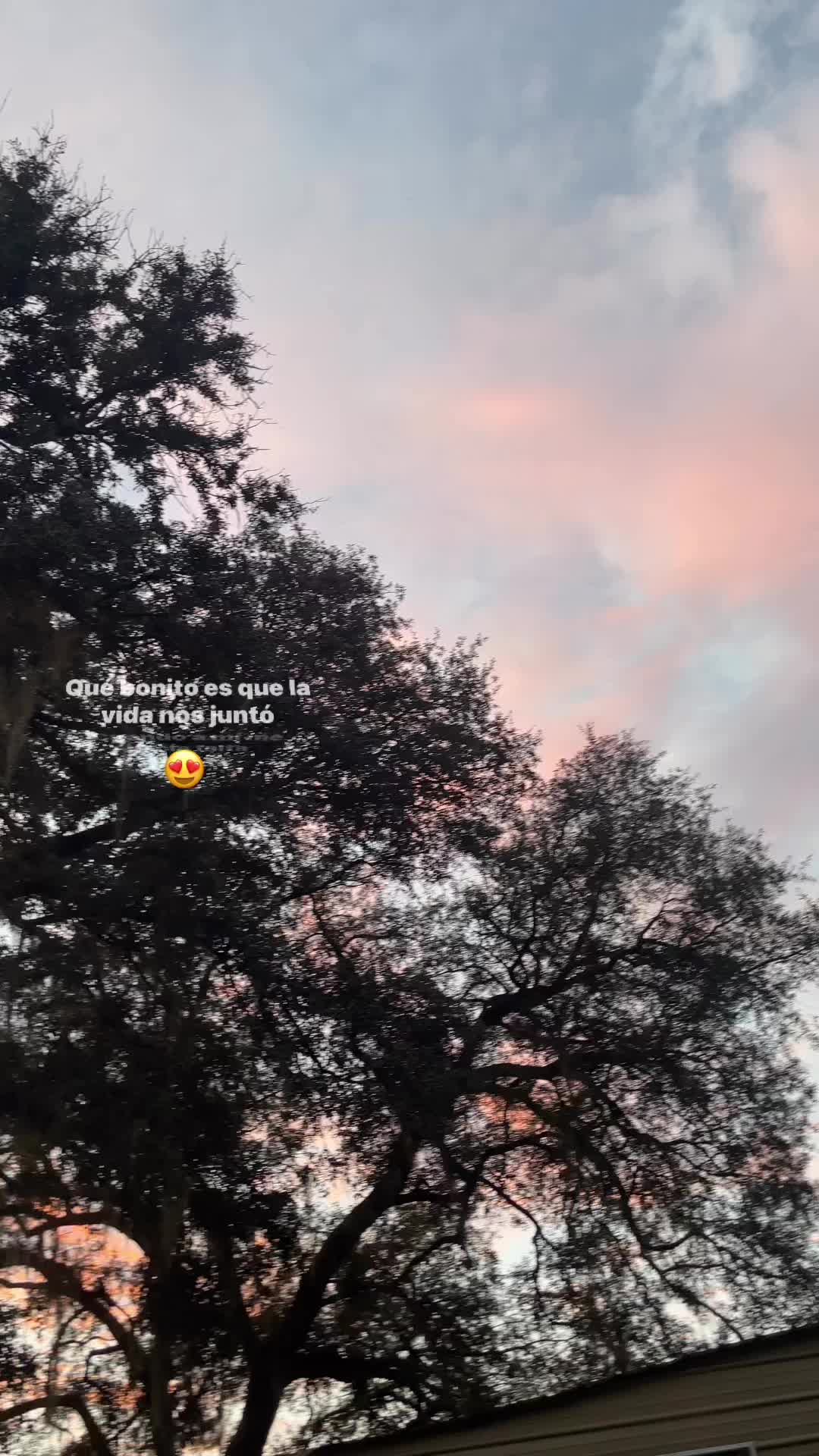 @ℒ ꨄ🇲🇽