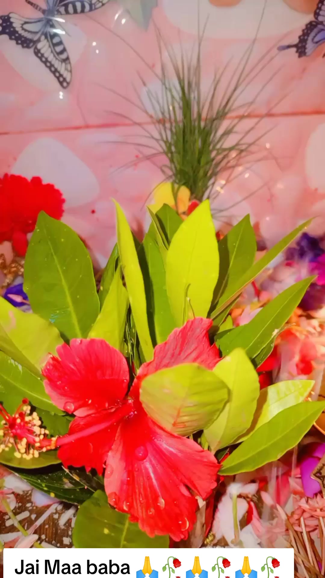 @SharbanSunitaRoyYadav861🤞❣