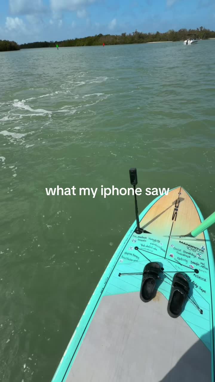 @theoceangirl