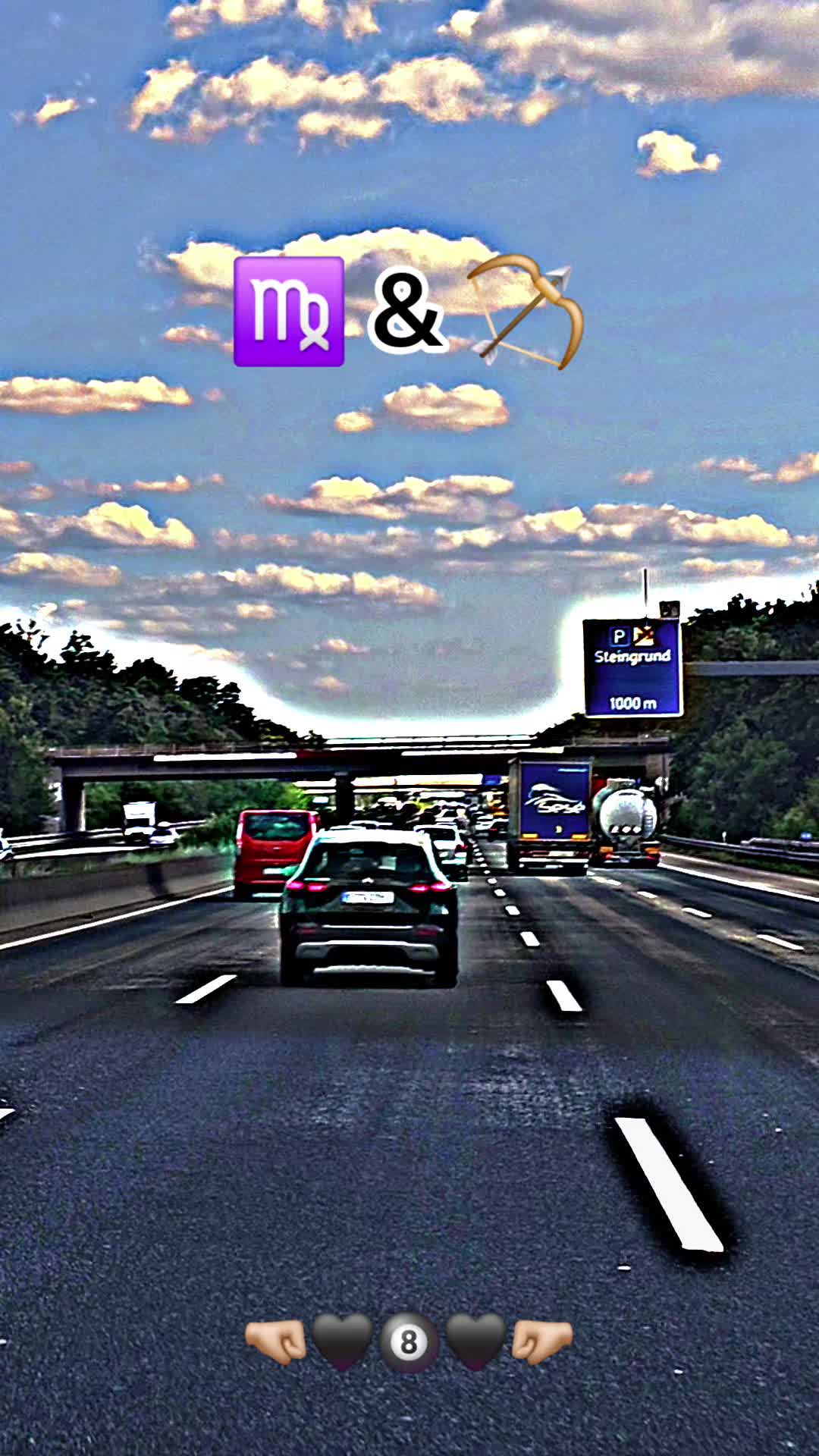 @꧁༺ 𝓣𝓸𝓹𝓖𝓾𝓷 &reg;༻꧂
