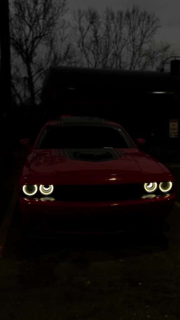@kash_the_celebrity