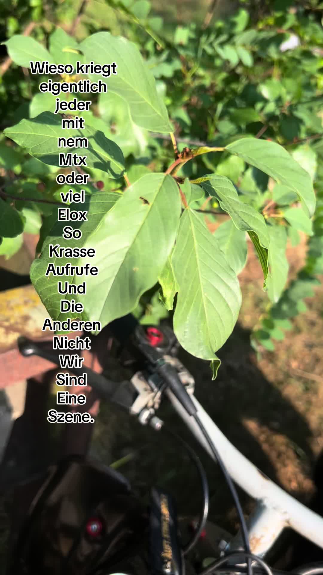 @๐ซง๐1๐๐ถ๐.63๐ซง