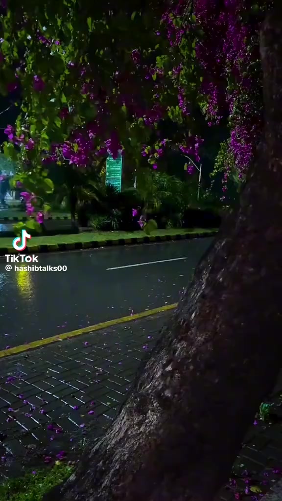 @নিঝুম তারা