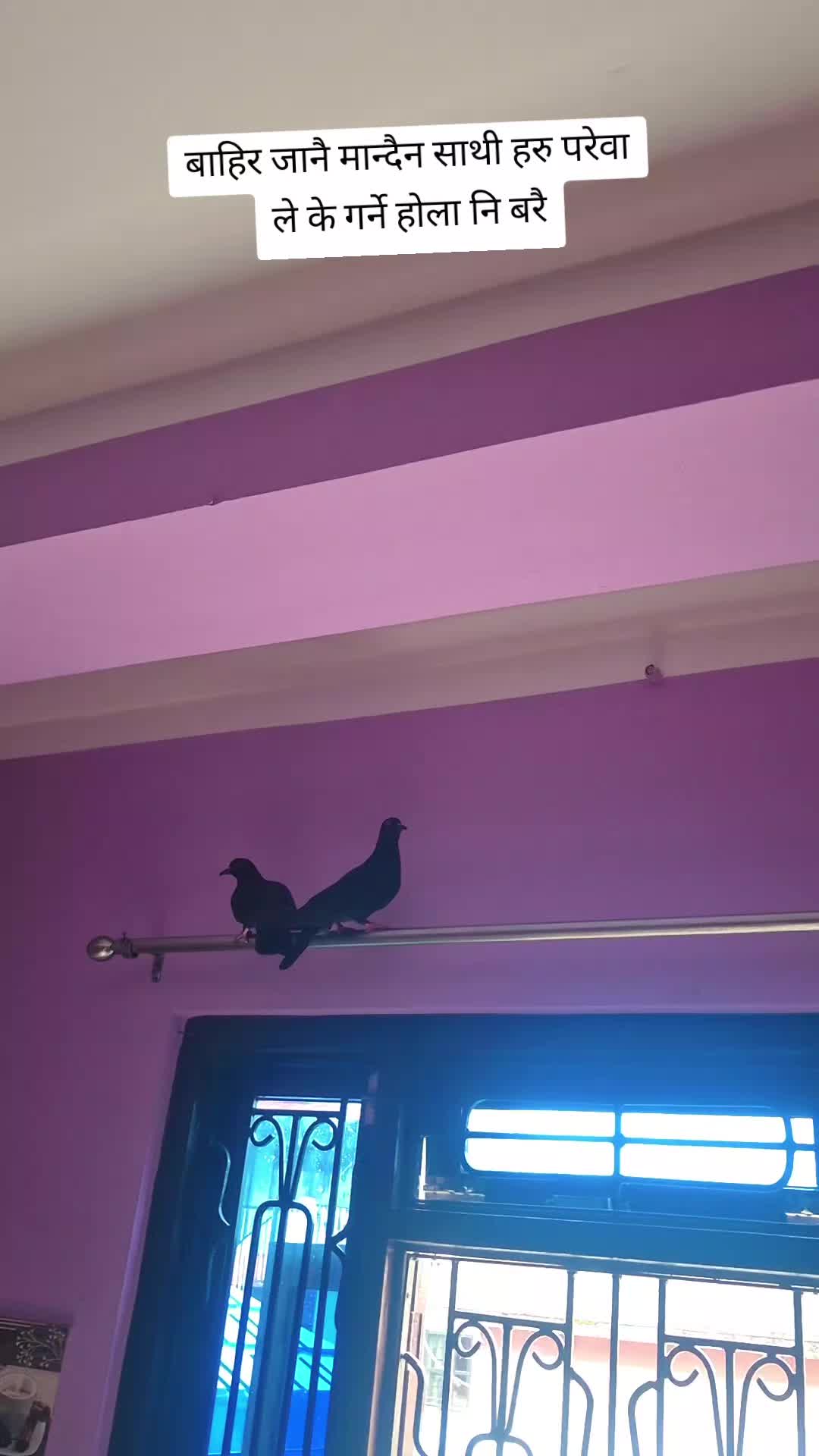 @hirarana125
