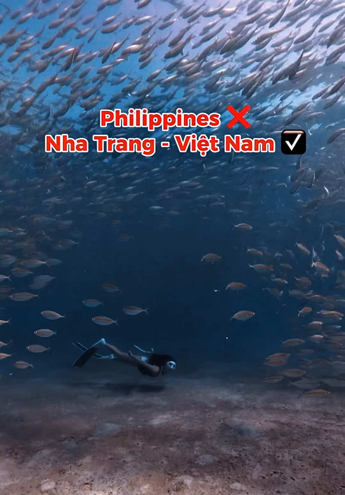 @Love Freediving Nha Trang