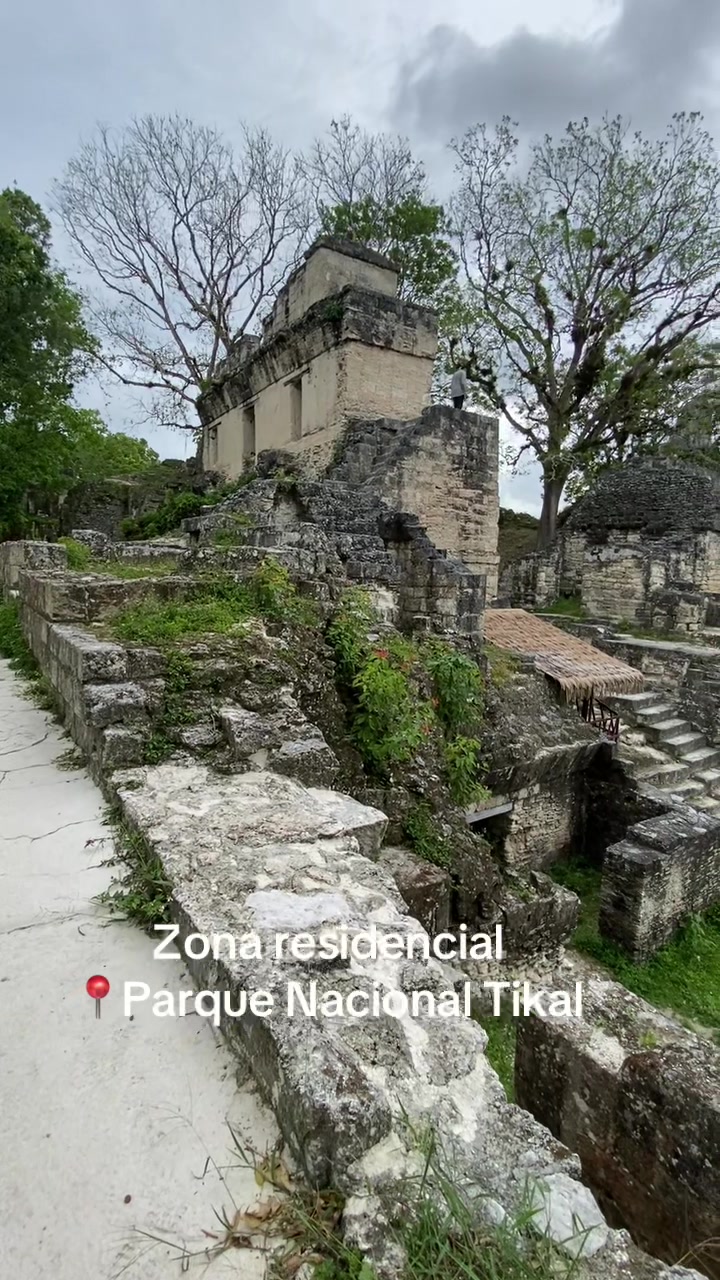 @Tony Tour&rsquo;s Pet&eacute;n_Guia_Local