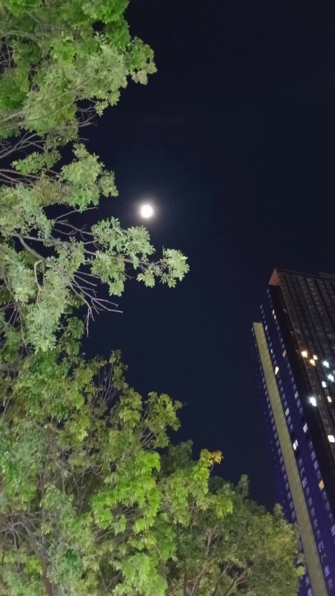 @CikPuanSara🦋