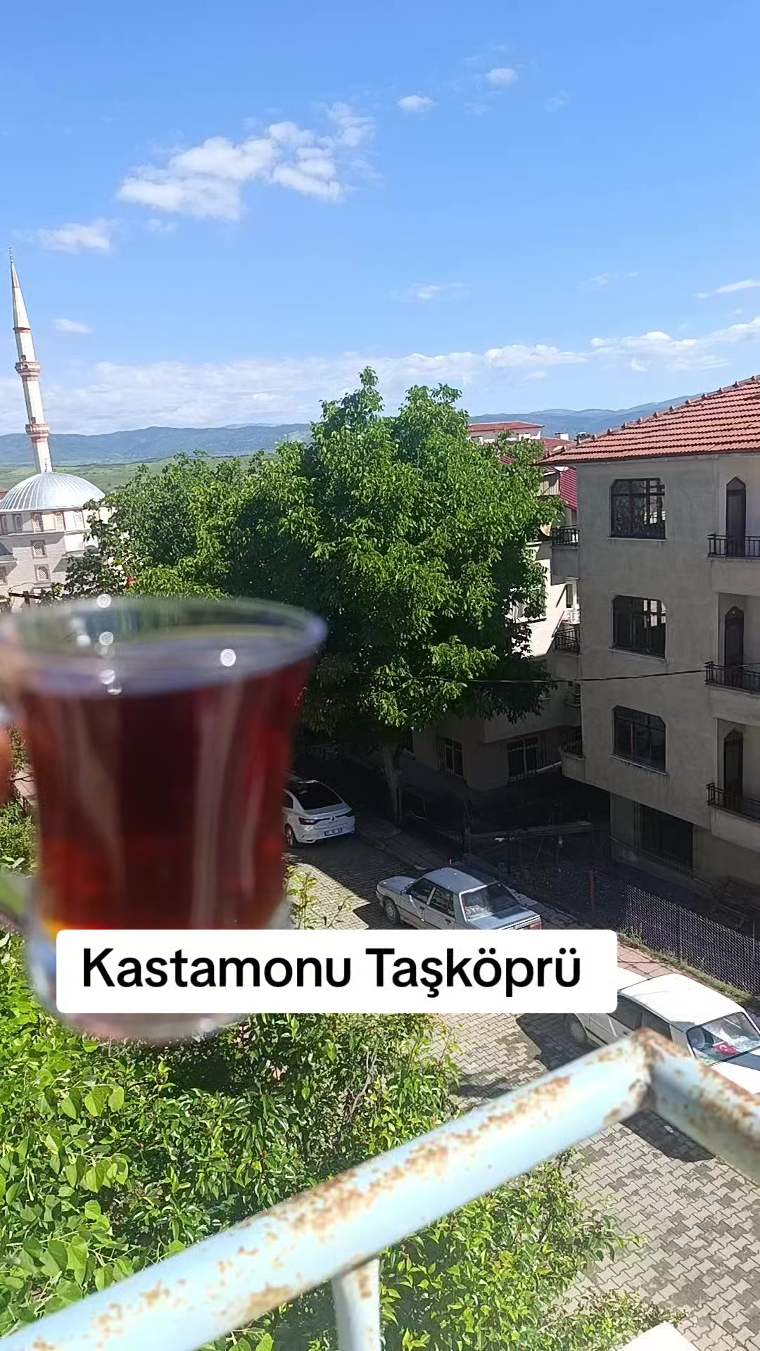 @papatya 🌼