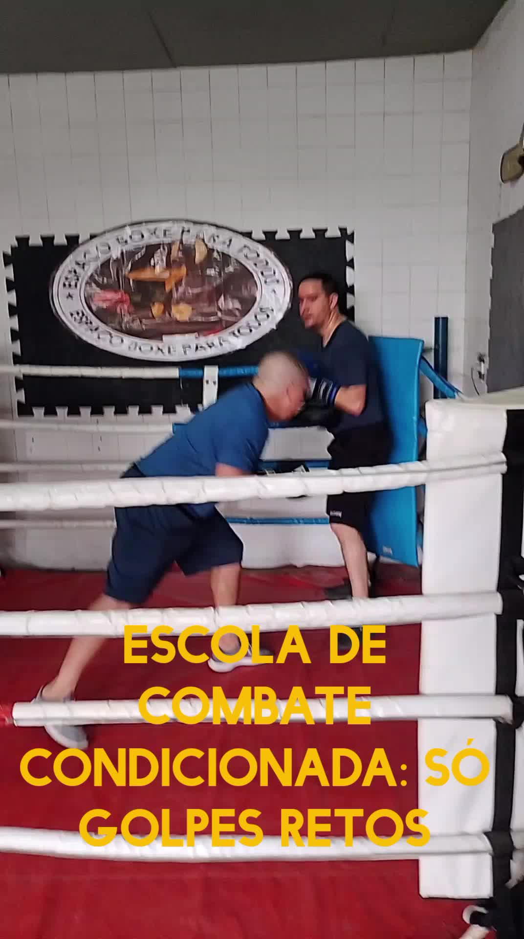 @Afonso Henrique