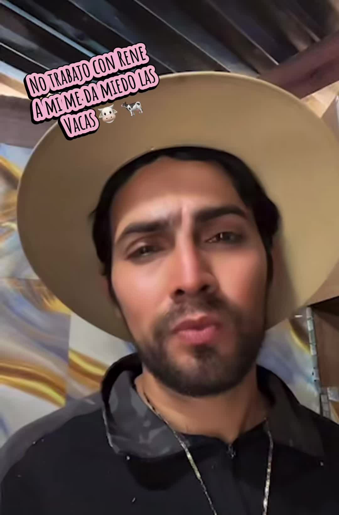 @marthahdos 🐮