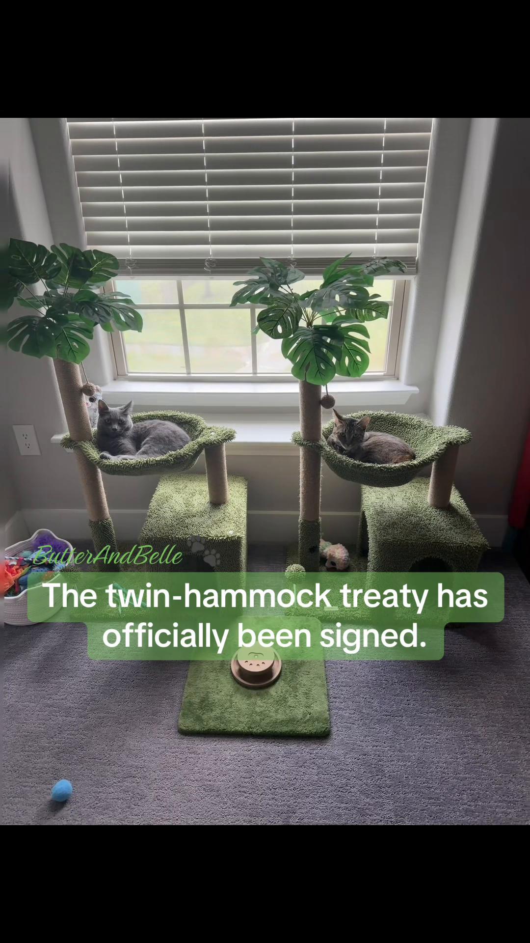 @ButterAndBelle