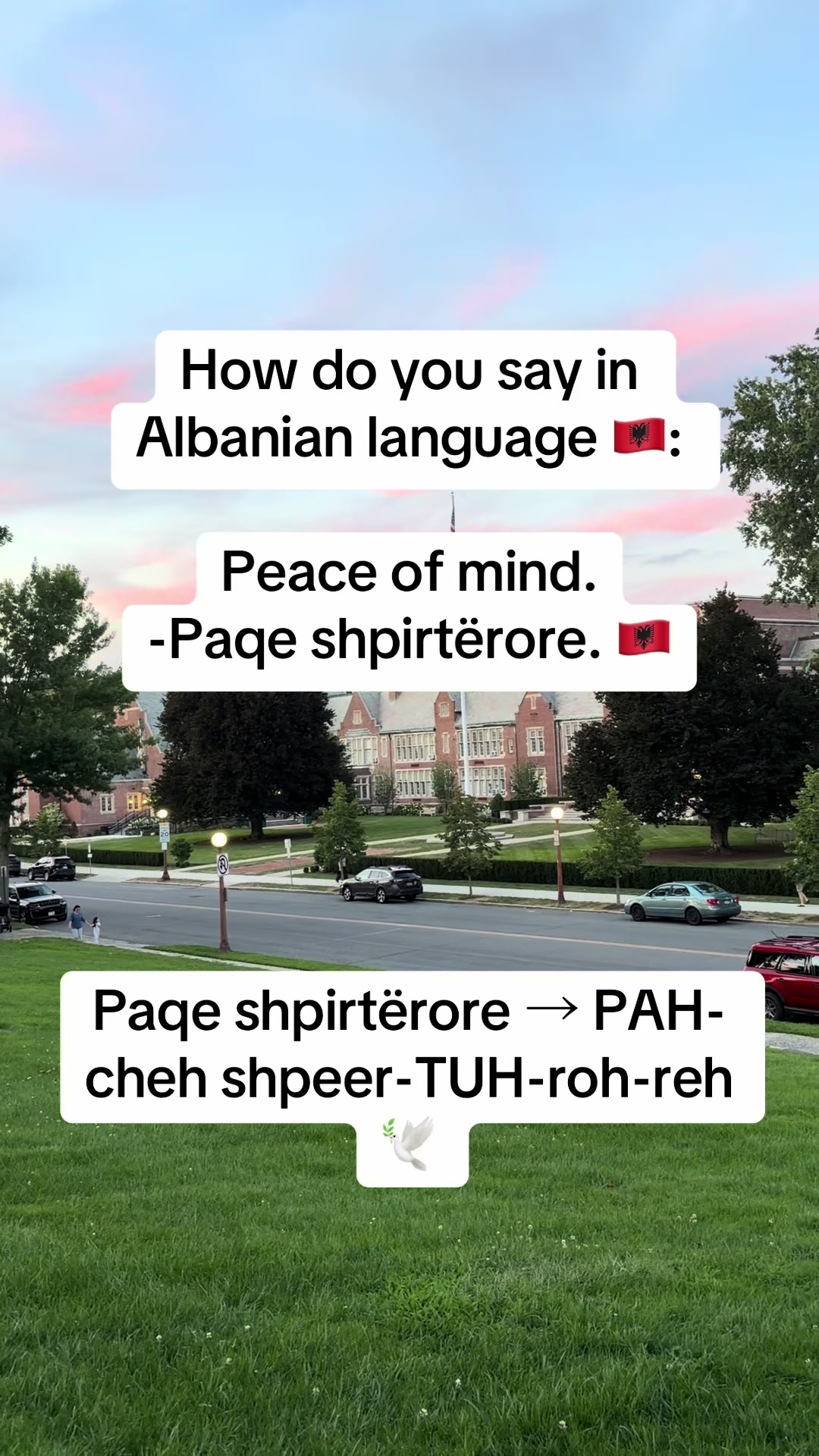 @Albana