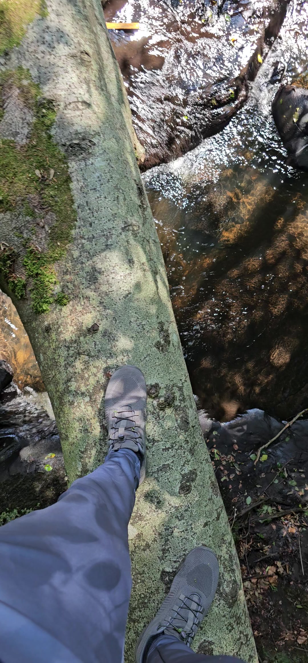 @the.shahi.familyof5