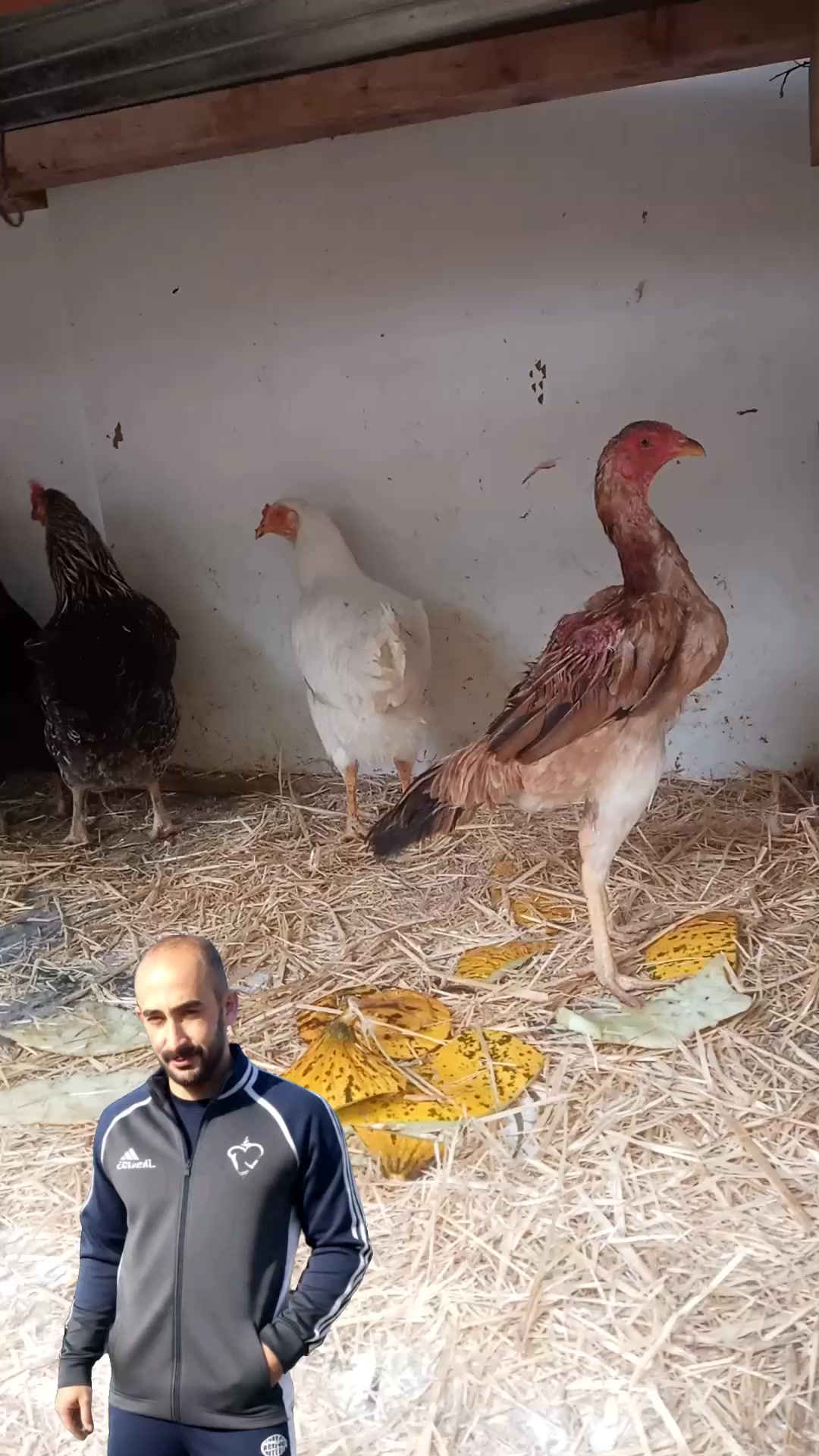 @nefretimsin dünya