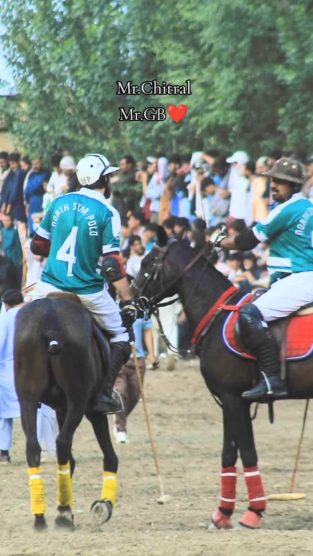 @️POLO ARCHIVE 👀🐴