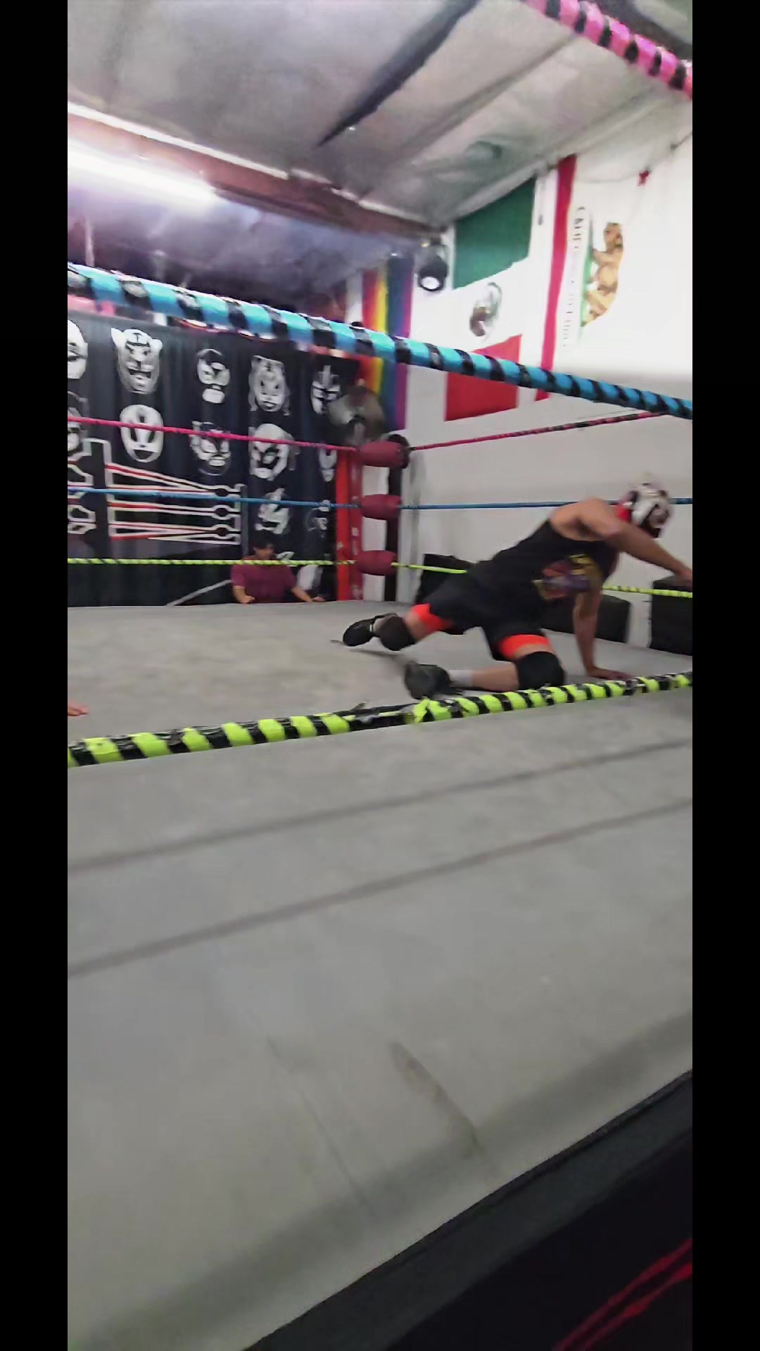 @Santino Bros.