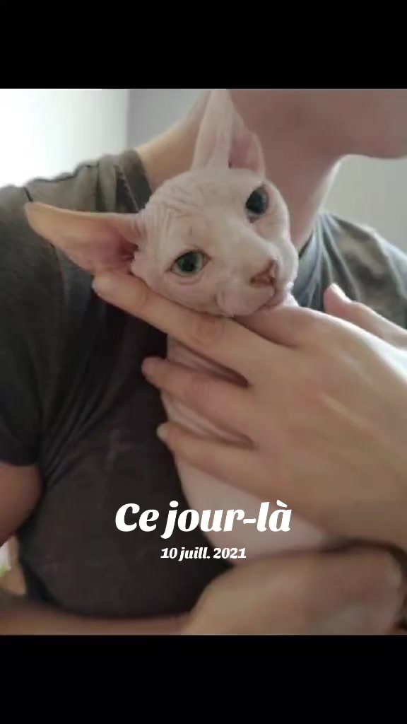 @Amy_dusoleildanstajournee