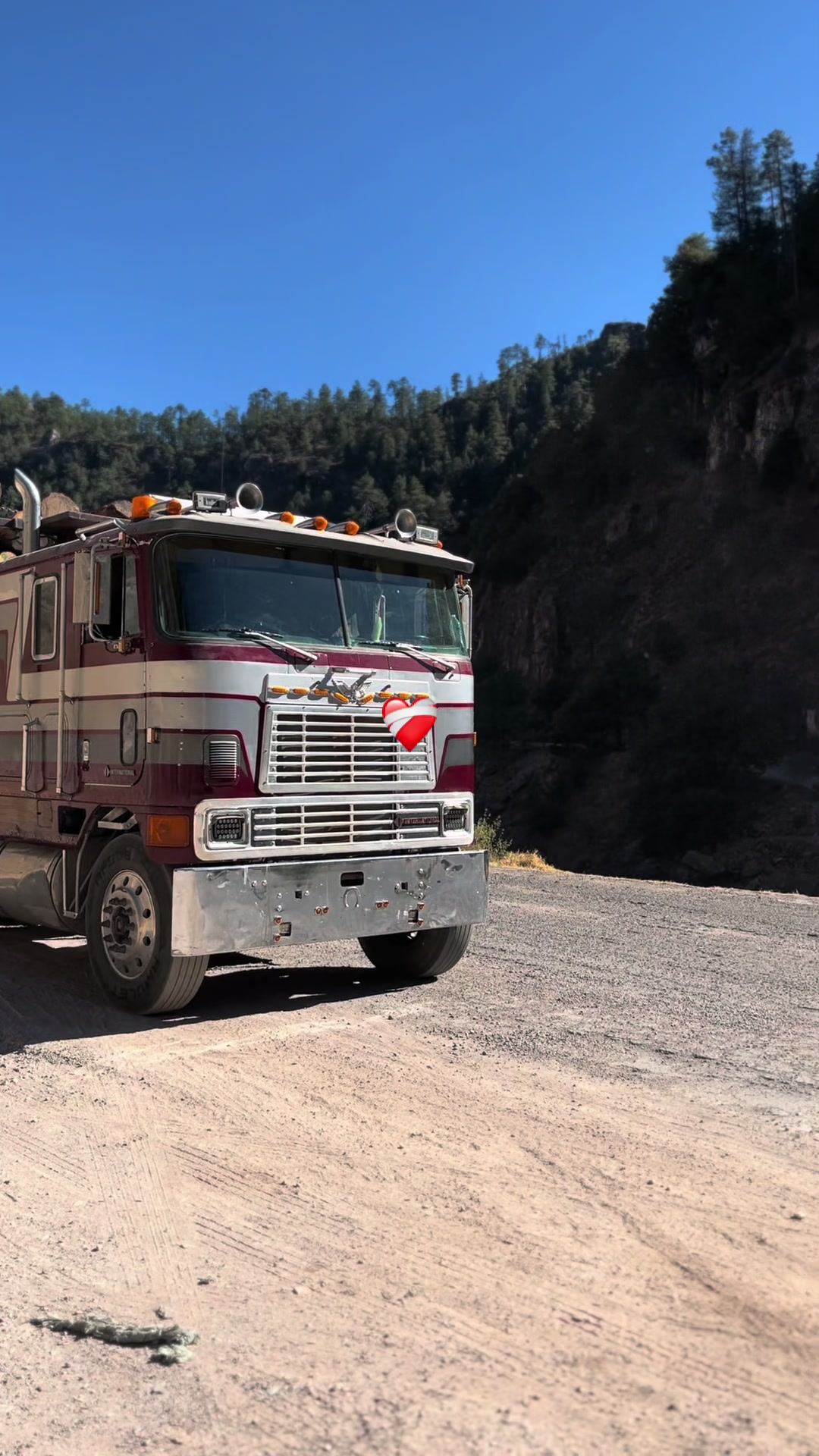 @Chihuahua Trucks