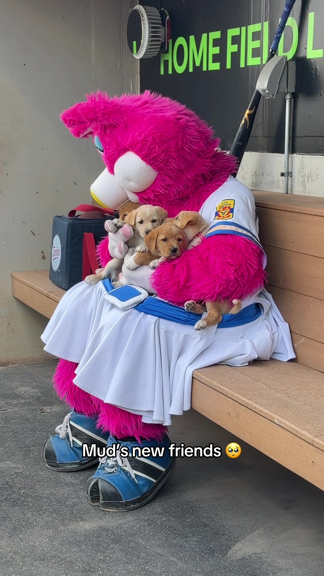 @St. Paul Saints