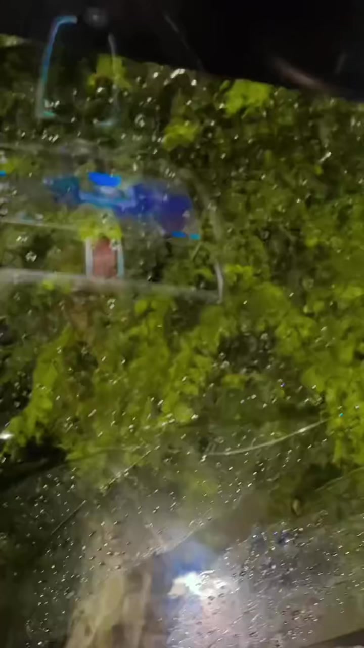 @🔥⭐️حنان جٹ وہاڑی آلہ⭐️🔥