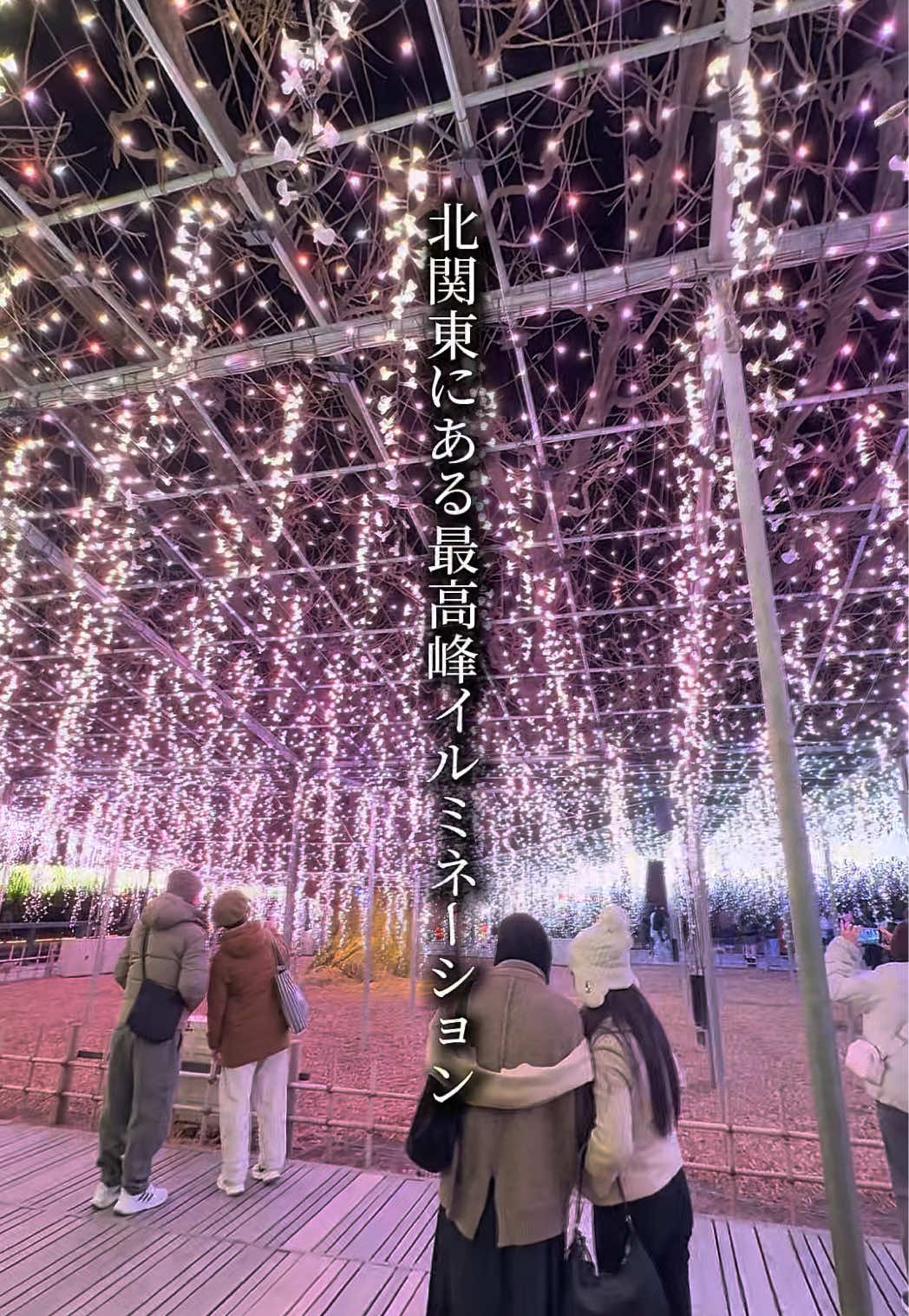 @厳選‼︎おすすめスポット
