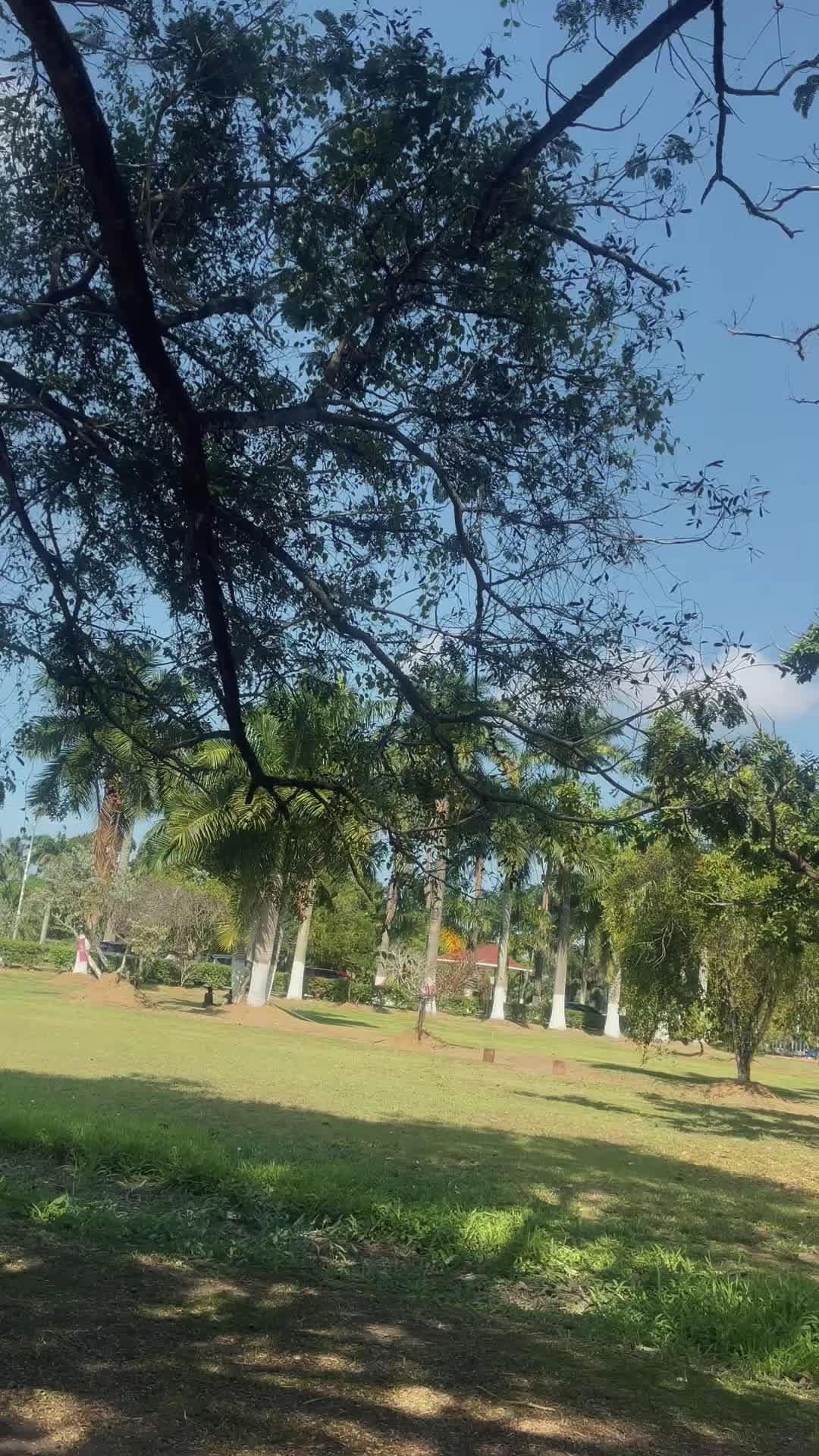 @A C K I L A