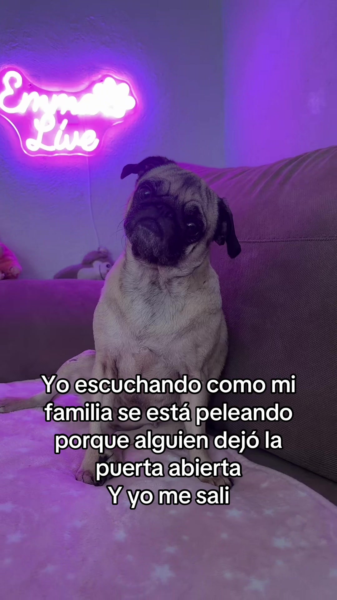 @Emma la Pug
