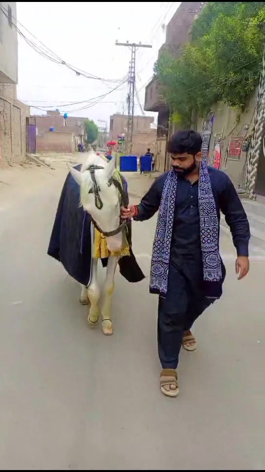 @zawar sayed