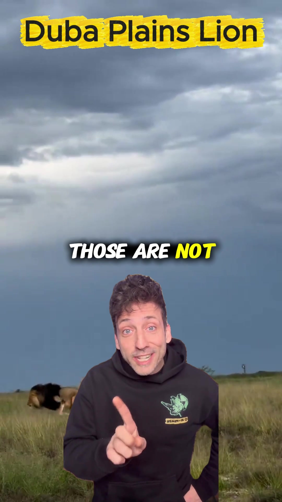 @Mason