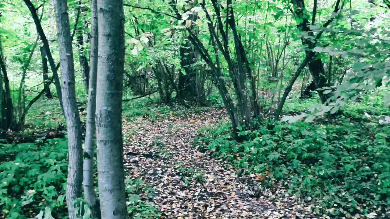 @Алтайᛉ