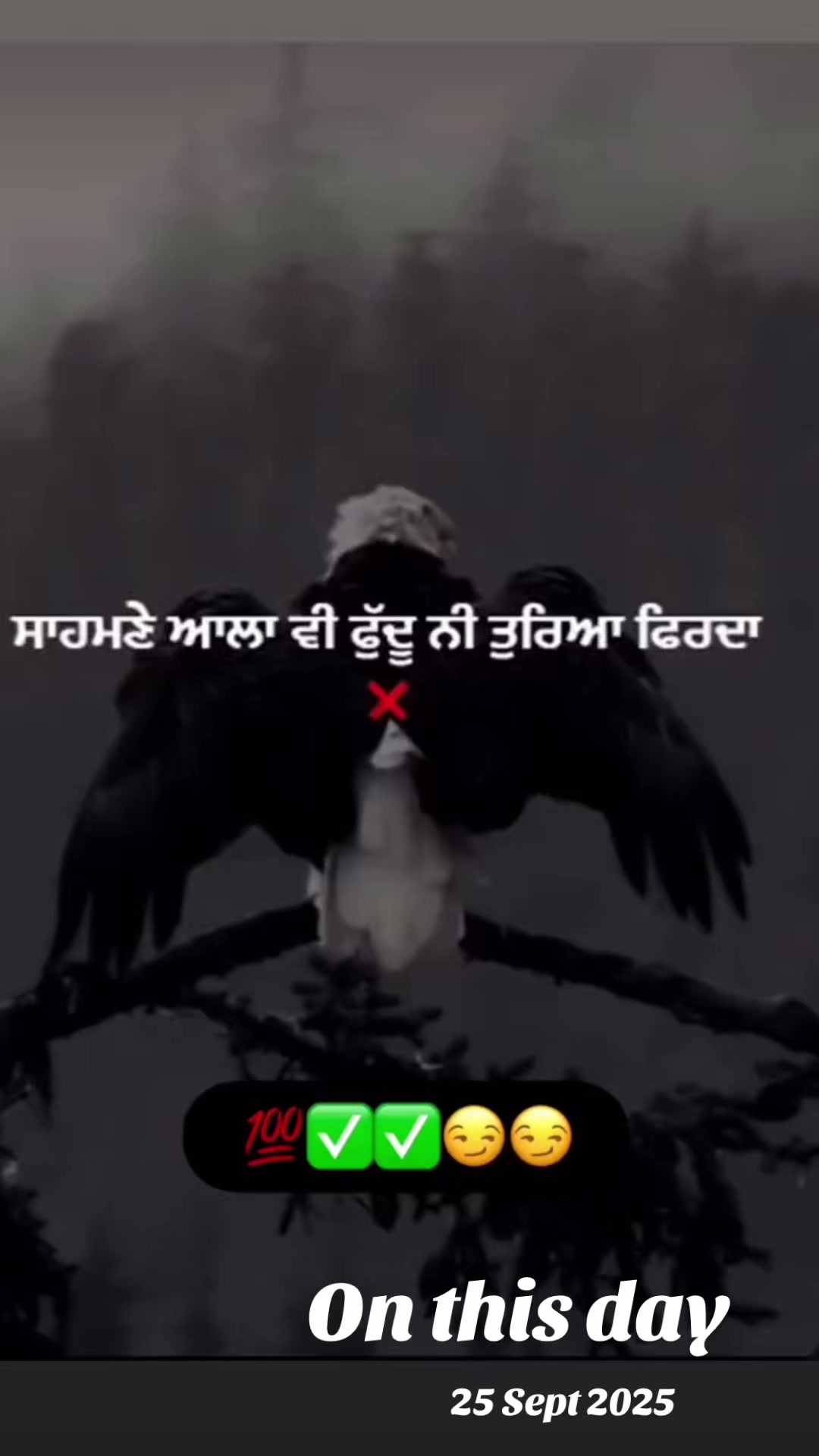 @Kaur Manroop