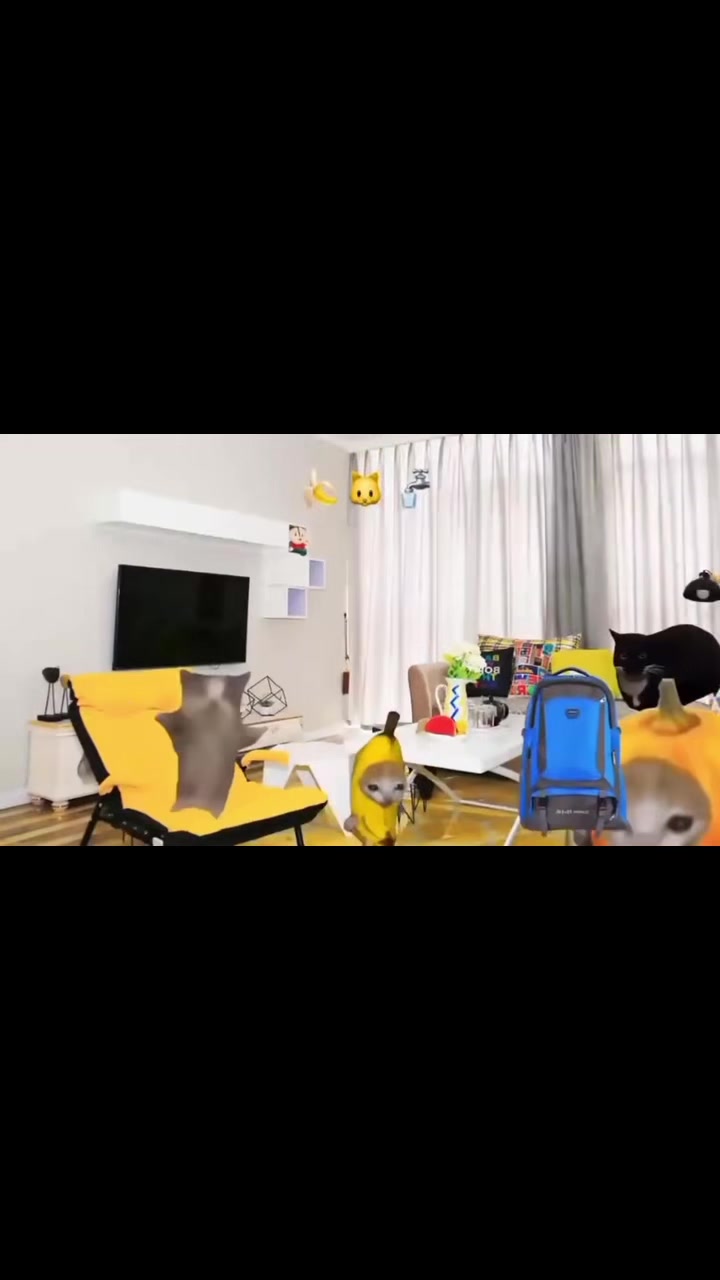 @🧸🎀