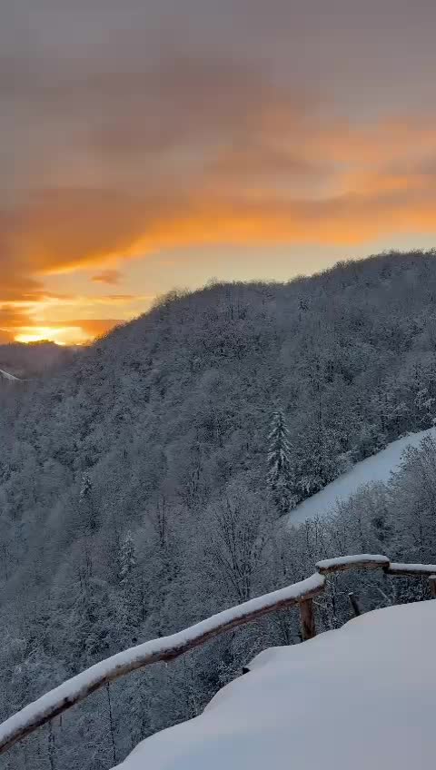 @Atilla CANBOLAT