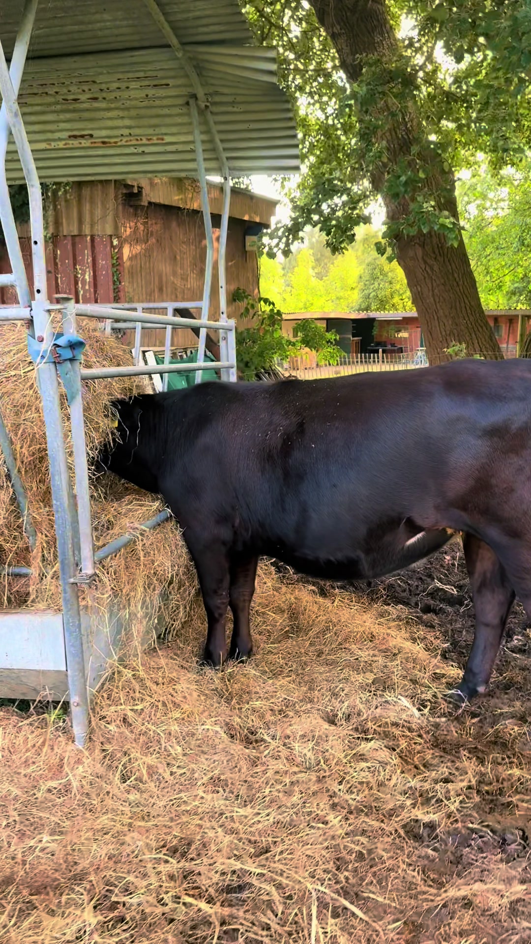 @♥️My little Ranch♥️