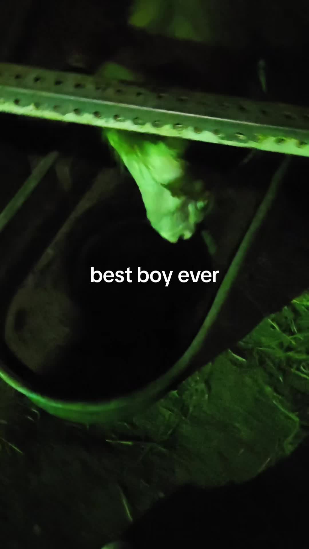 @mb