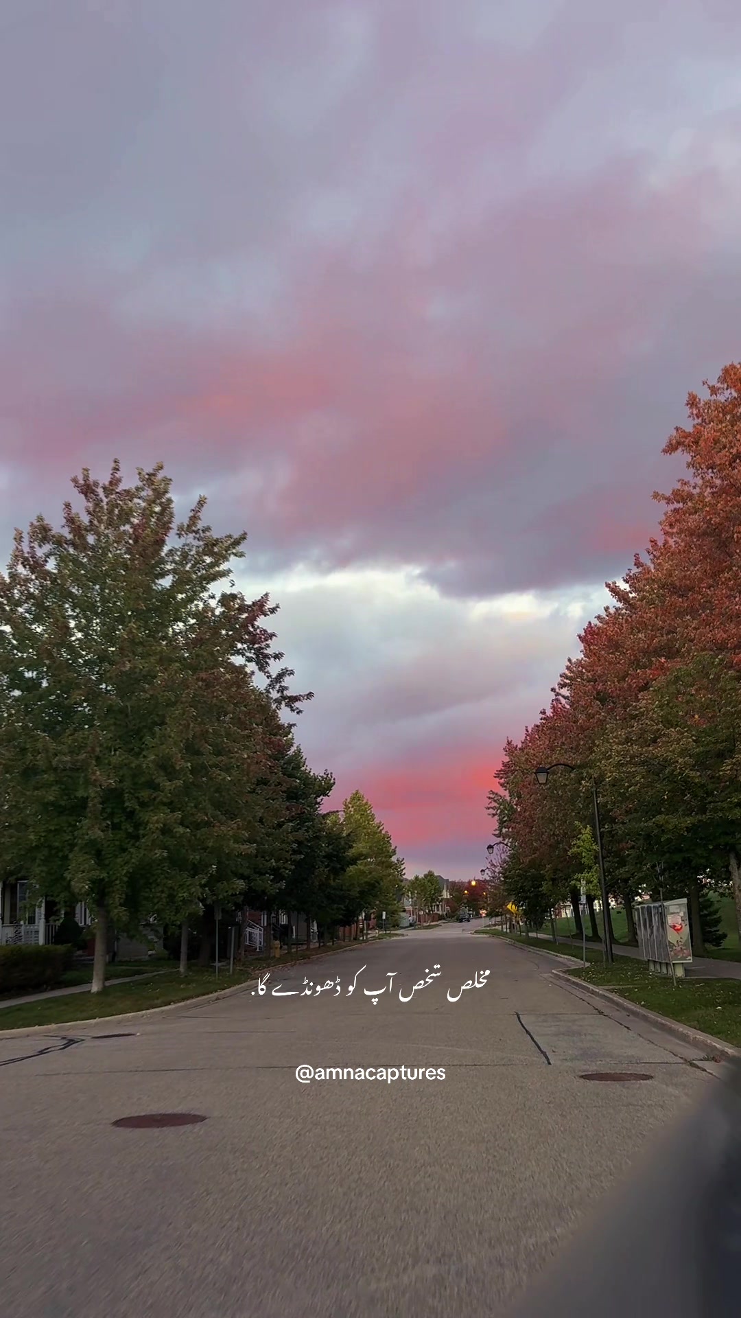 @Nature lover 🇨🇦