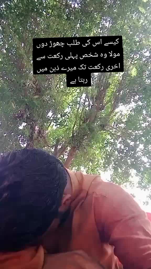 @zulfi khan