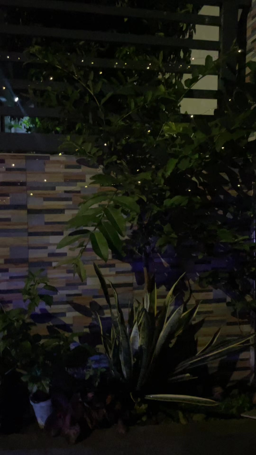 @c4rl.j0s3ph