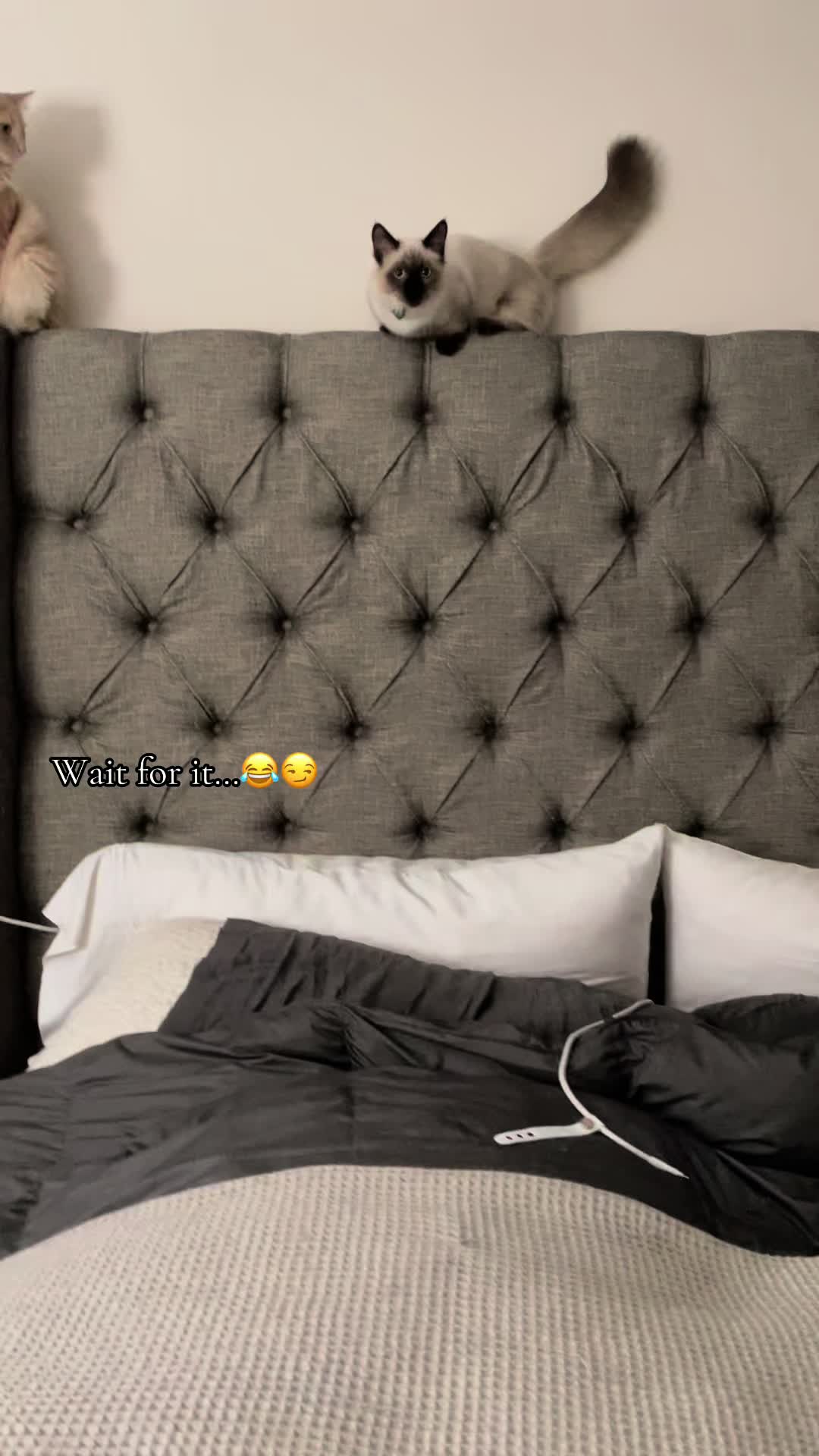 @Kristina Osterlund