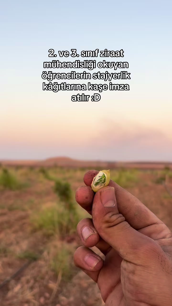 @Ahmet