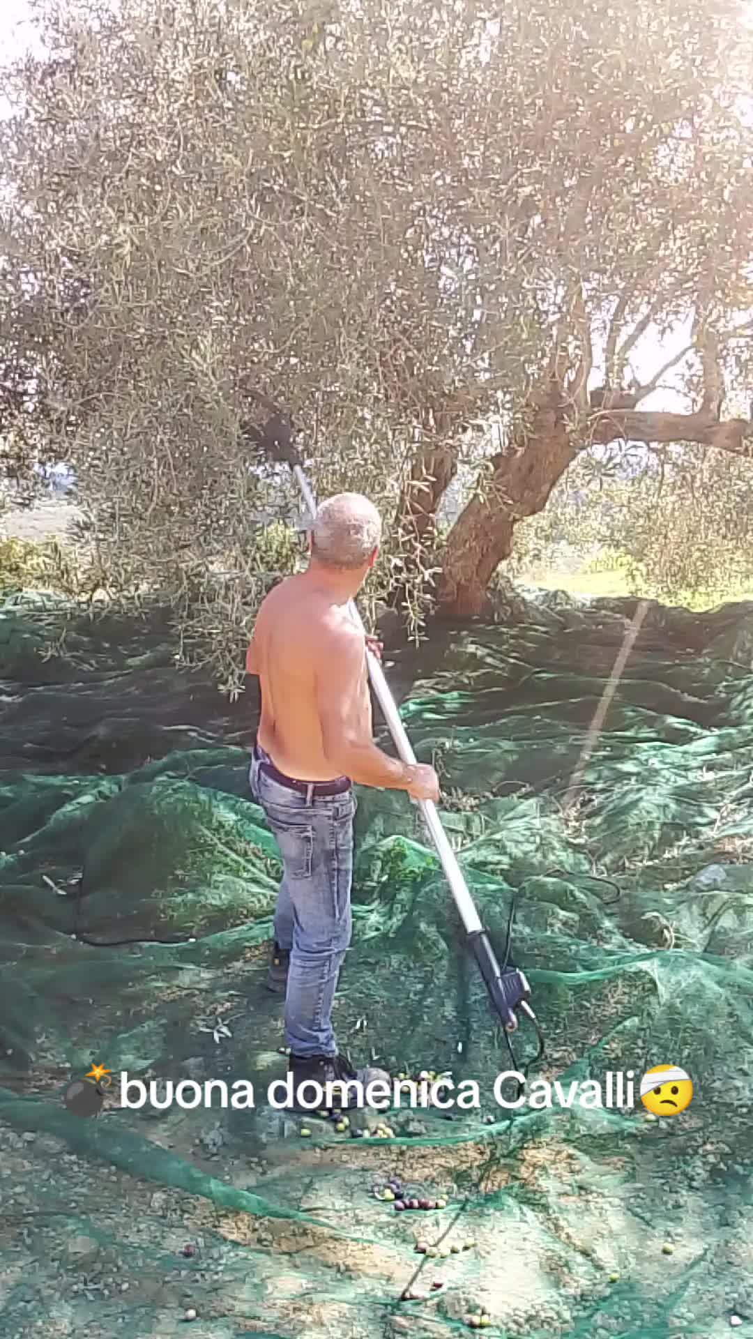 @Stefano Zagara