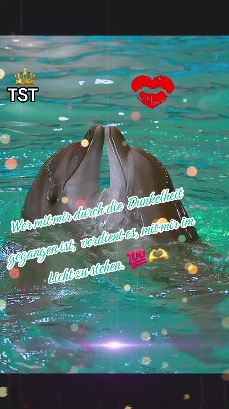 @โค๏ธ HABIBI โค๏ธ๐ค๐