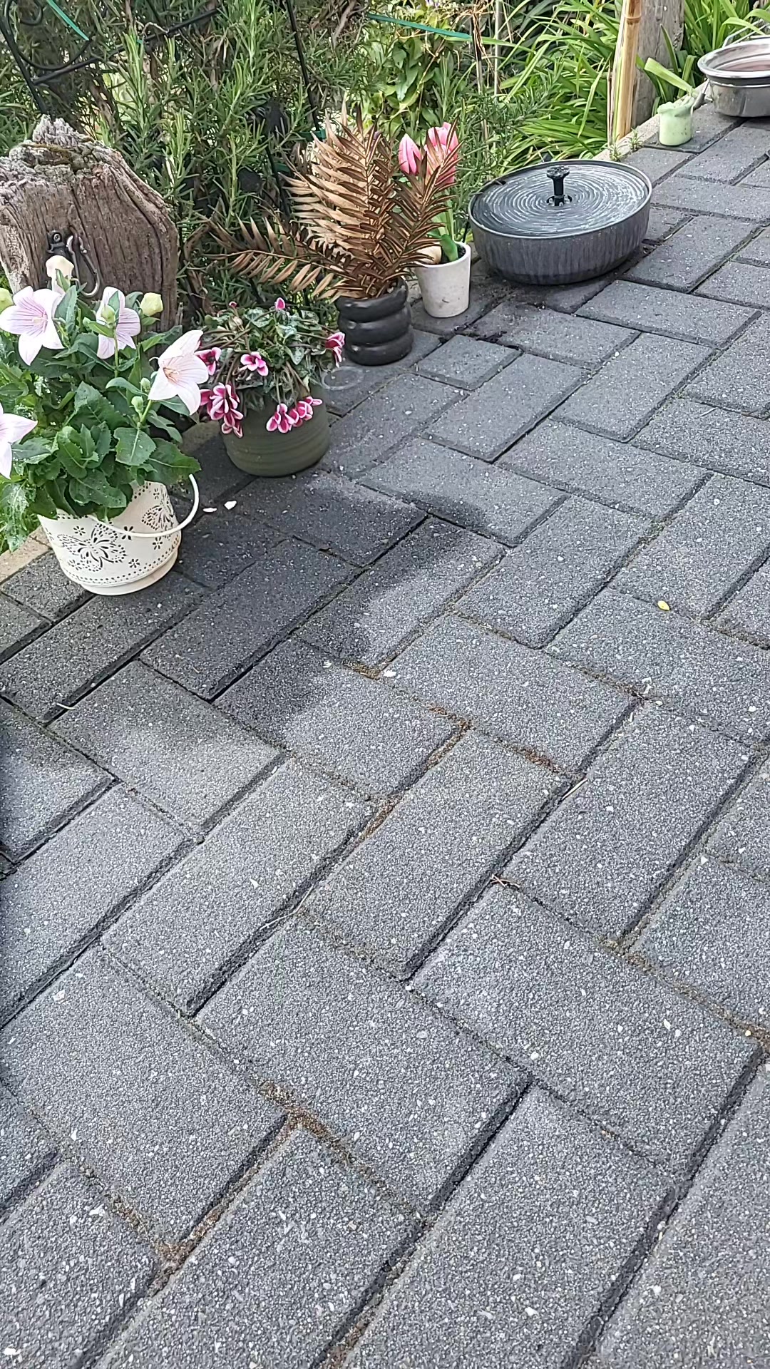 @💚_coco_💚