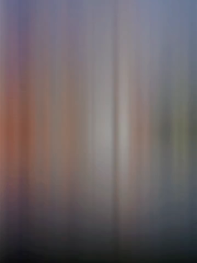 @Elegancia Fotográfica